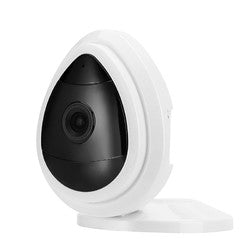 IP Security Camera