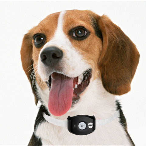 GPS Pet Tracker