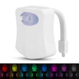 LED Toilet Light