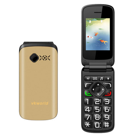 VKWorld Z2 Seniors Cell Phone (Gold)
