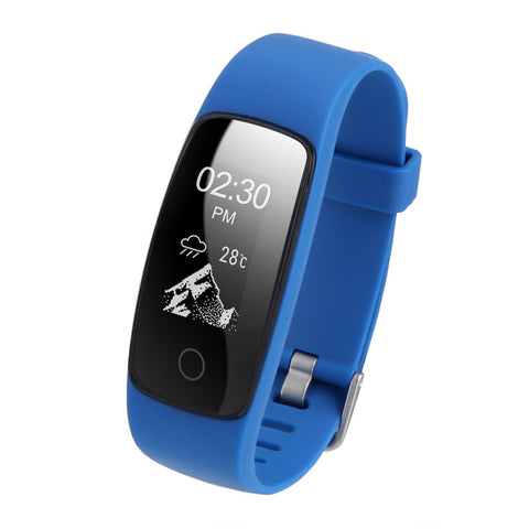 Fitness Band (Blue)