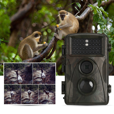 1080p Trail Camera