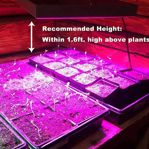 LED Grow Light