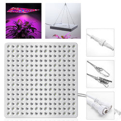 LED Grow Light