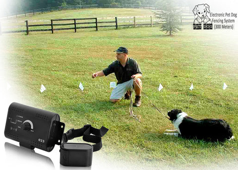 Electronic Dog Fencing System