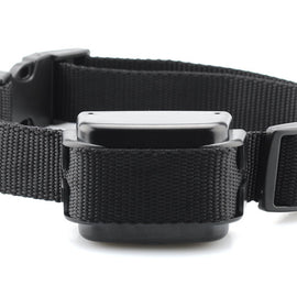 Dog Training Collar 'K9 II'