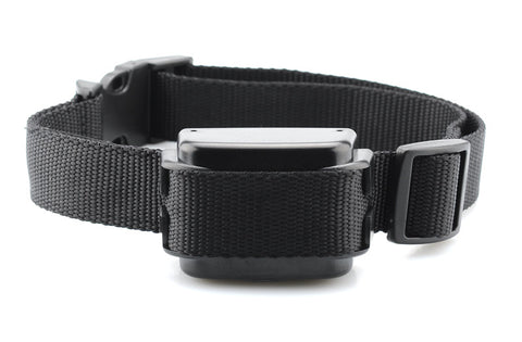 Dog Training Collar 'K9 II'