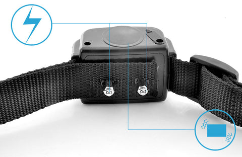Dog Training Collar 'K9 II'
