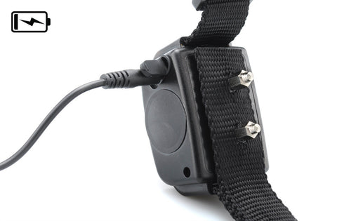 Dog Training Collar 'K9 II'