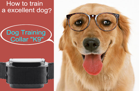 Dog Training Collar 'K9 II'