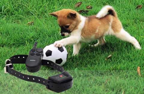 Remote Dog Trainer Collar with Receiver