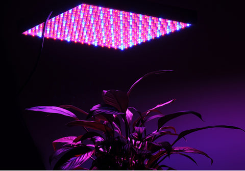 LED Grow Light