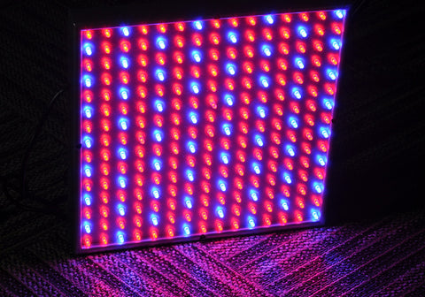 LED Grow Light