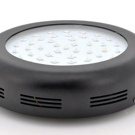 135 Watt UFO LED Grow Light - Mary Jane