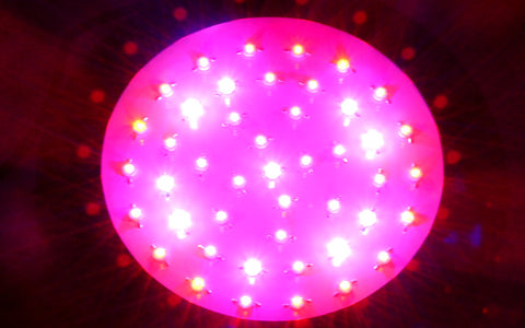 135 Watt UFO LED Grow Light - Mary Jane