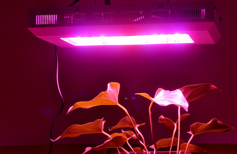 LED Hydroponic Grow Light w/ 300W + 20000 LUX